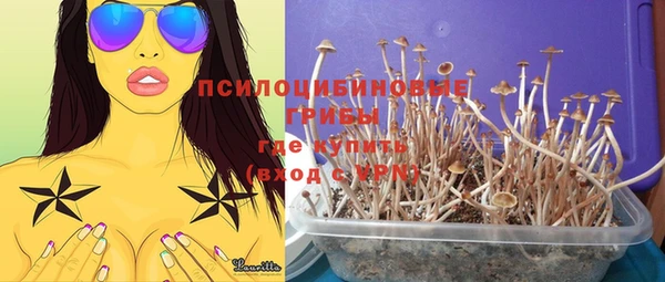 a pvp Алексин