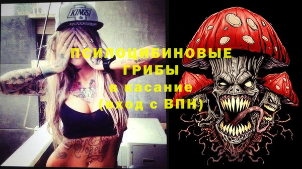 a pvp Алексин