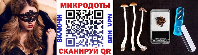 сколько стоит Кизел площадка официальный сайт Галлюциногенные грибы GOLDEN TEACHER